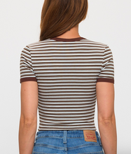 Load image into Gallery viewer, Knit Striped Crop Top - Brown/Blue